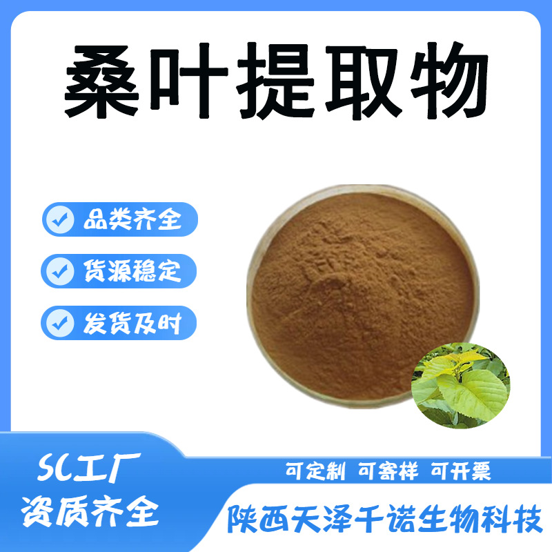 桑叶提取物10/20/30:1桑叶多糖桑叶黄酮桑叶DNJ现货1寄样