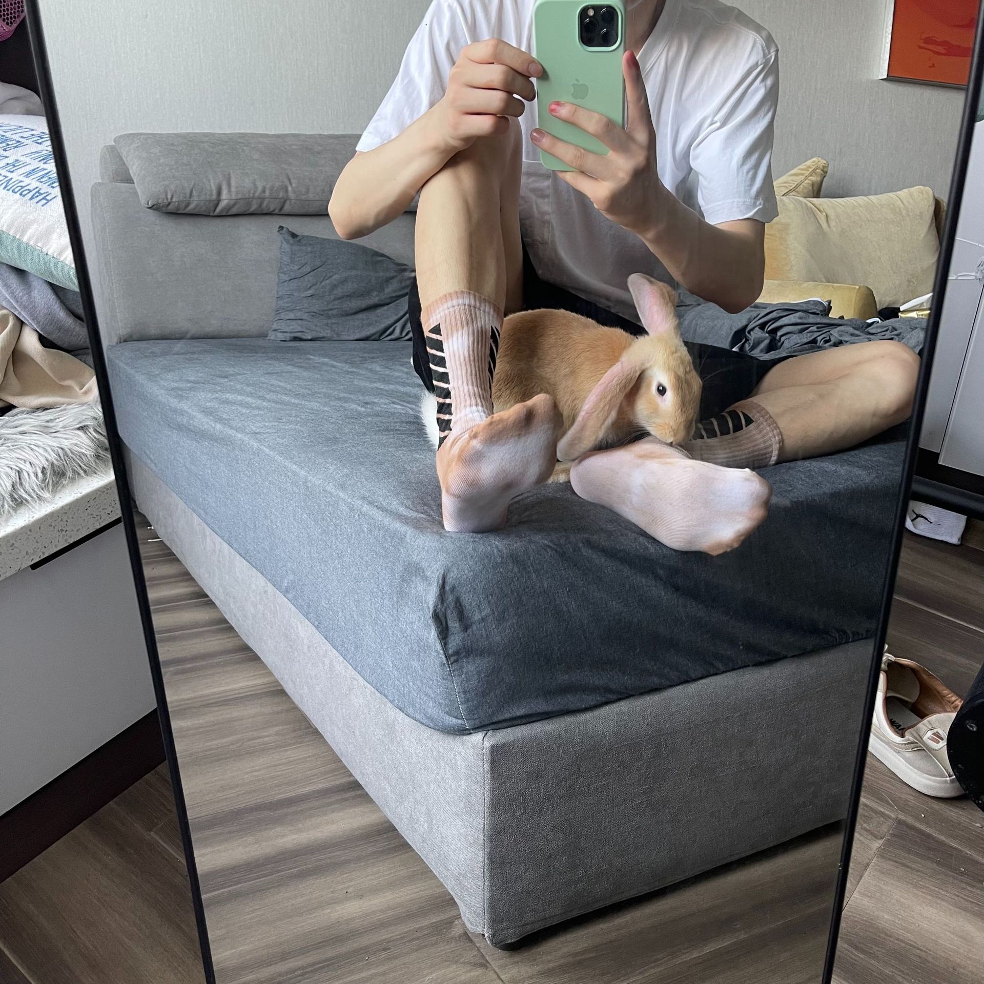 O1CN01W5mw4226lZBWLCVx9_!!2830