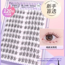 zٽëzˮճֶʽ۽NëȻ2025¿؏