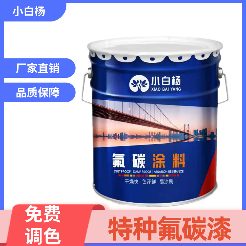 特种氟碳漆 户外钢结构桥梁 金属防腐防锈漆耐候含氟防紫外线