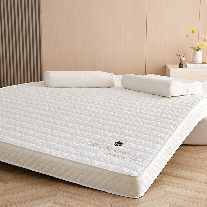 Thickened Latex Mattress Household Soft Mattress 1.8 m m Sponge Mattress Single Student Dormitory Mattress Floor Mattress