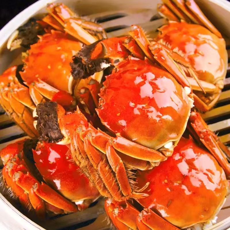 Crab Fresh Crabs Large fresh  Seafood Aquatic products Spot 5 wholesale Gift box 8/10/16 Pcs