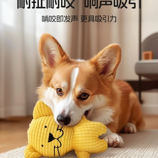 ���������ҧ�����␞ĥ���lë�qС��̩����ȮС��Ȯ����