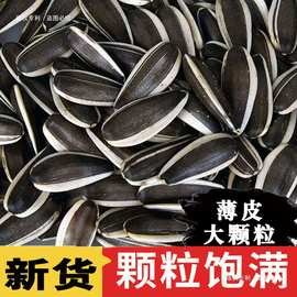 生瓜子葵花籽新货薄皮瓜子特大颗粒散装新鲜现炒原味瓜子内蒙古