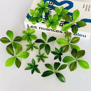 ������R�~Ƭ�����ָж���~�R��ľ�~Ƭ ����~Ƭ���u�����~Ƭ