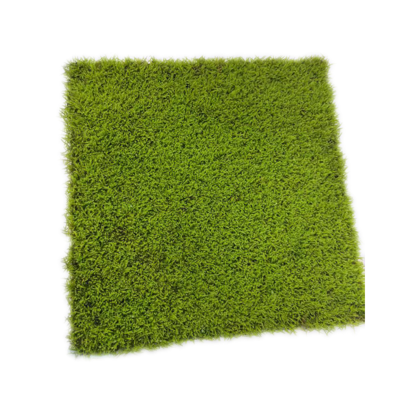 微信图片_20250729165056_副本