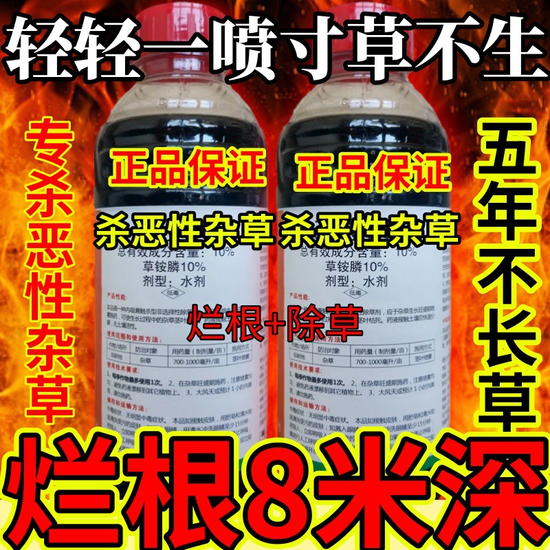 杀草快高浓度精草铵膦铵盐果园小飞蓬各种杂草轻轻一喷寸草不生