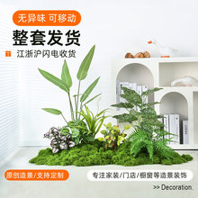 ����ֲ��̦�\�쾰���۽M�ϸ����b�΢���^�����Gֲ�҃��쾰�[�辰