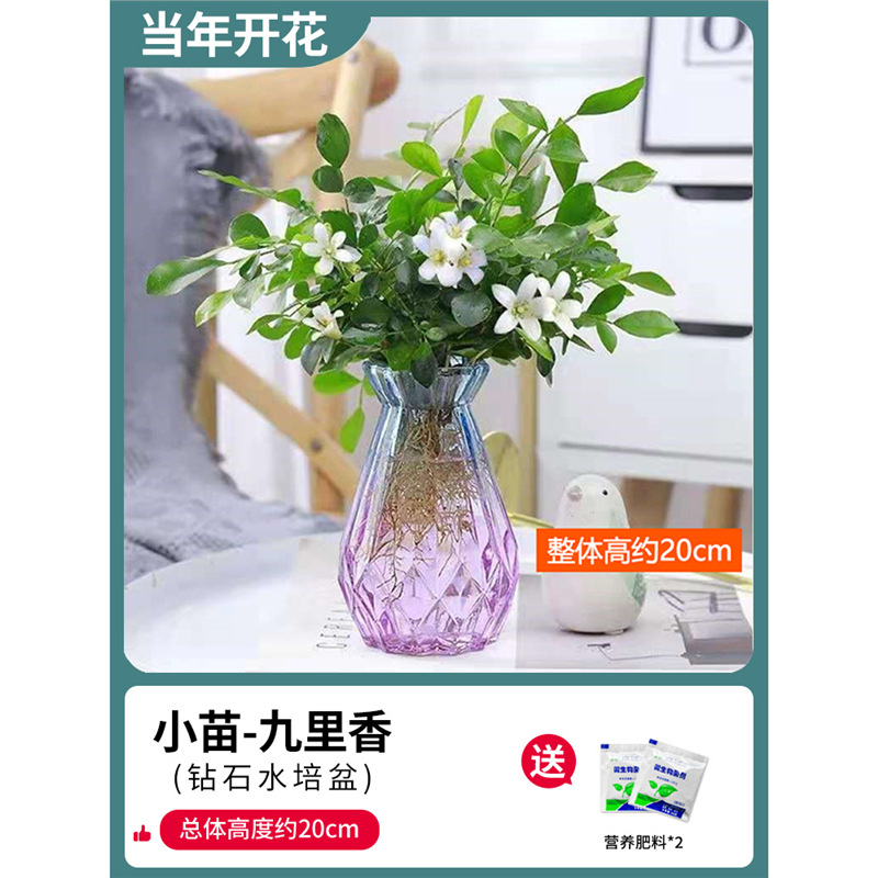 부티크 90#Jiulixiang (컬러 다이아몬드 유리병)