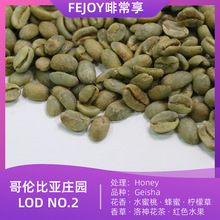 25炐ȁׯ@LOD2 Honey ||ʲ|񻨲