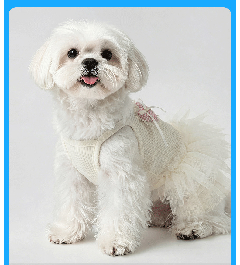 Robe d'été pour chien et chat en dentelle anti-poils_voghion.com