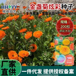 ��K���ŲʷN�ӽ�K���N���ļ����N�׳ɻ��L�໨�N���L���ջ���