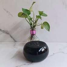 SҹFsľAľ_ɳl____ҕ_l