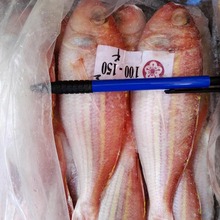 ����t���~ ���~ ��Ҏ��20��/�� 100-200Ҏ��t���~