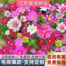 ˹ջܷN ļNlM̫ꖻղտrձ