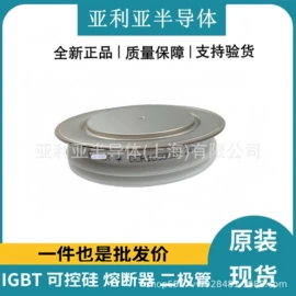 IGBT模块;集成电路;普通晶闸管