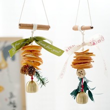 ���ٴ�����Ƭ��܇��� DIYֲ��ɻ�܇���b���Շ���܇����b�