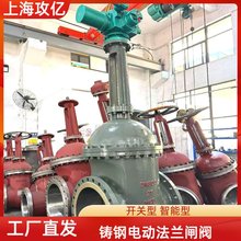 w_P늄Tly Z941H-10C DN800ڏyT