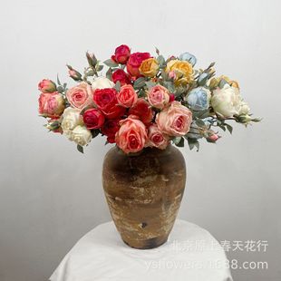 ��߅õ���߅�b����滨����õ��ʽ��@ins�L�Ҿӿ͏d�����[��