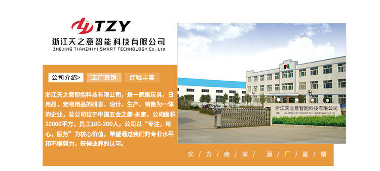 E-_儿童滑板车首页_电脑端_儿童车首页手机_03