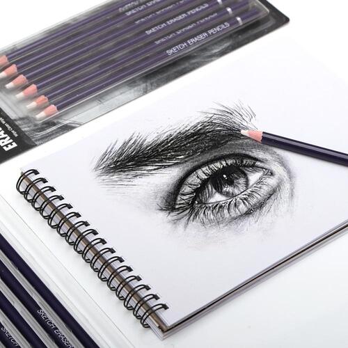 High-gloss eraser pen, erasable pen for art students, pencil sketch, pen-shaped eraser sketch, 6-piece set