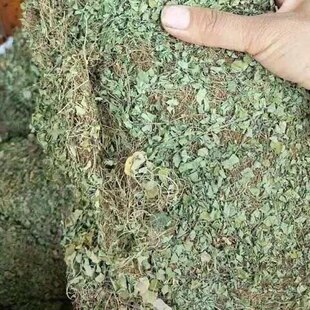 ���u�R�����Ʒ�R���ɰ����Sđ��С���X����ا��С�R��ݰ��]