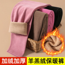保暖裤女加绒加厚德绒无痕秋裤一体羊羔绒棉毛裤高腰内穿打底裤冬