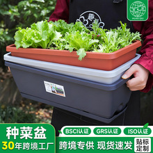 霍伦长方形种菜盆阳台专用长条盆栽蔬菜盆特大号加厚树脂塑料花盆