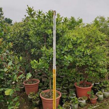 ���� �������� 1.5-1.7�׸� ���� ������ ���Թ���