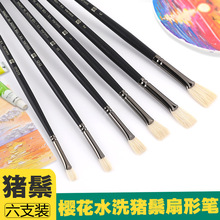 �ѻ�ˮϴ�i�����ιP���g�W�������ͮ��Pˮ�۱�ϩ��ˢˇ�����b���l