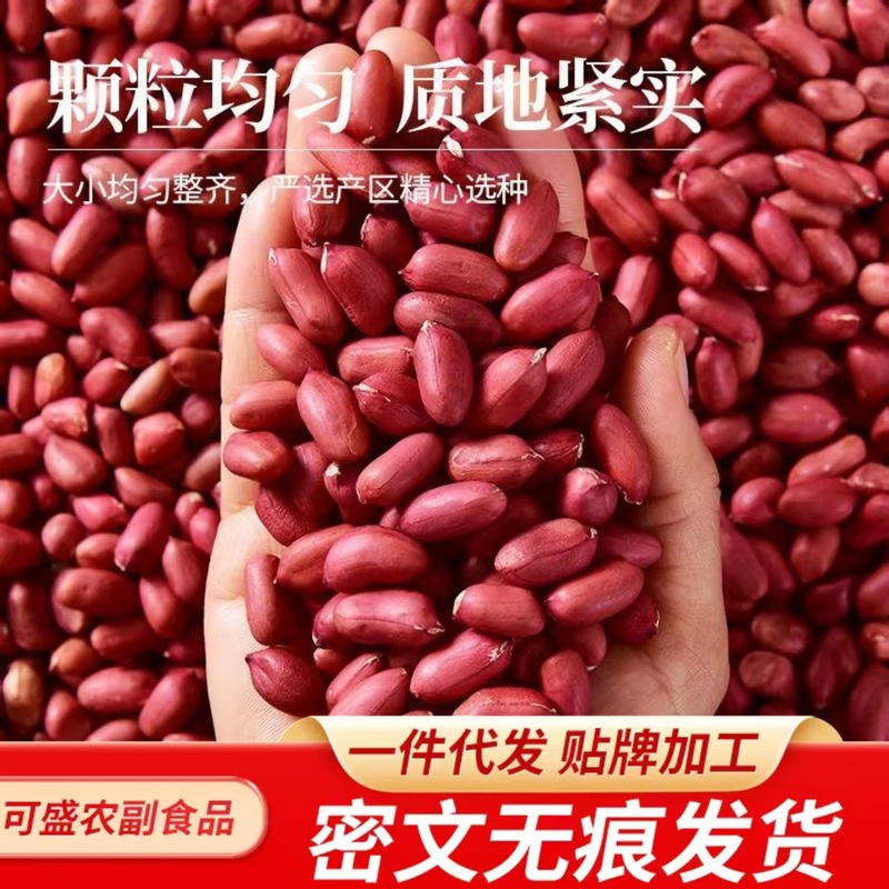 代发红皮花生米新货生红衣花生新煲汤四粒花生仁不带壳新鲜商用|undefined