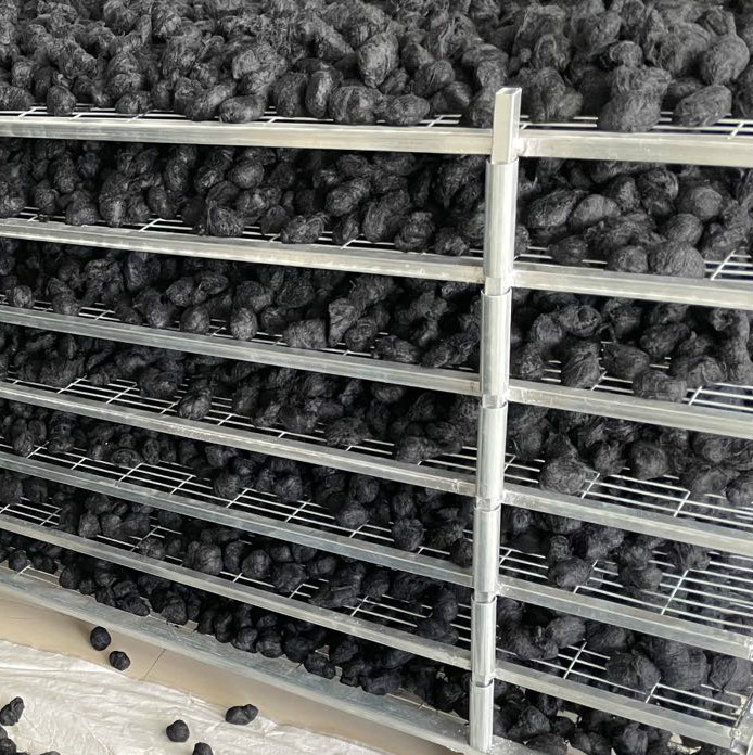 977c3ff8c0a237004c47b748e91dad