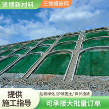 �������Sֲ���W�@�ֵ̉������Sֲ���W�Gɫ�����W���o�����Sֲ���W