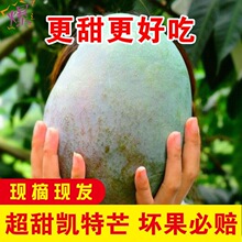 爱文芒果 爱文芒果品牌 图片 价格 爱文芒果批发 阿里巴巴