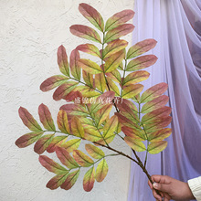 �����zƬ�L�~��ƽ����֦�ɼ٘�֦�Ҹ��Ř�֦�廨����b�c�b�