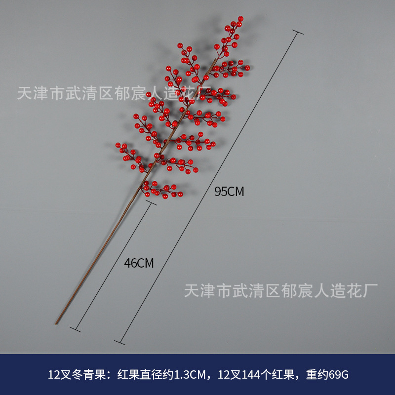 105 12叉冬青果.jpg