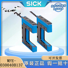 SICKWFEϵв͂WFE-030040B137}_ ʩȫƷ