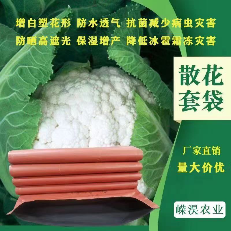 93097b75394ed3c48d99d39371da94