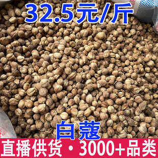 ��ޢ �ⶹޢ �׶�ޢ ���l ����ă�