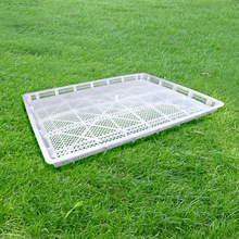 ș�ĸɹ���ɱP��������Yˮ�a�������1���P�����͸�����D��