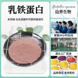 乳铁蛋白98% 营养强化剂 食品原料鲜牛奶提取物现货供乳铁蛋白