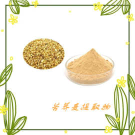 苦荞麦提取物食品原料现货速发苦荞粉库存充足可试样苦荞速溶粉