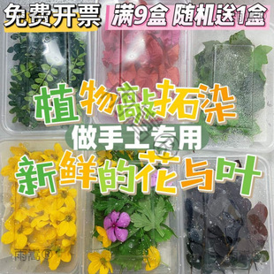 ֲ����Ⱦ�r�� ���M�����r�~�ӻ��ܾGֲ ��ӡֲ�����r����