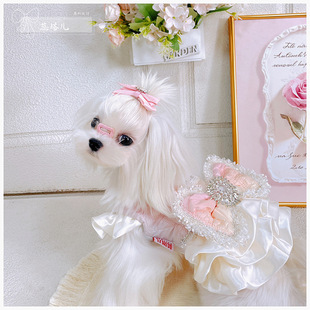 �����޷�ȹ�R����˹�A���B��ȹ������Y�ӽq�s����С�w���·����b