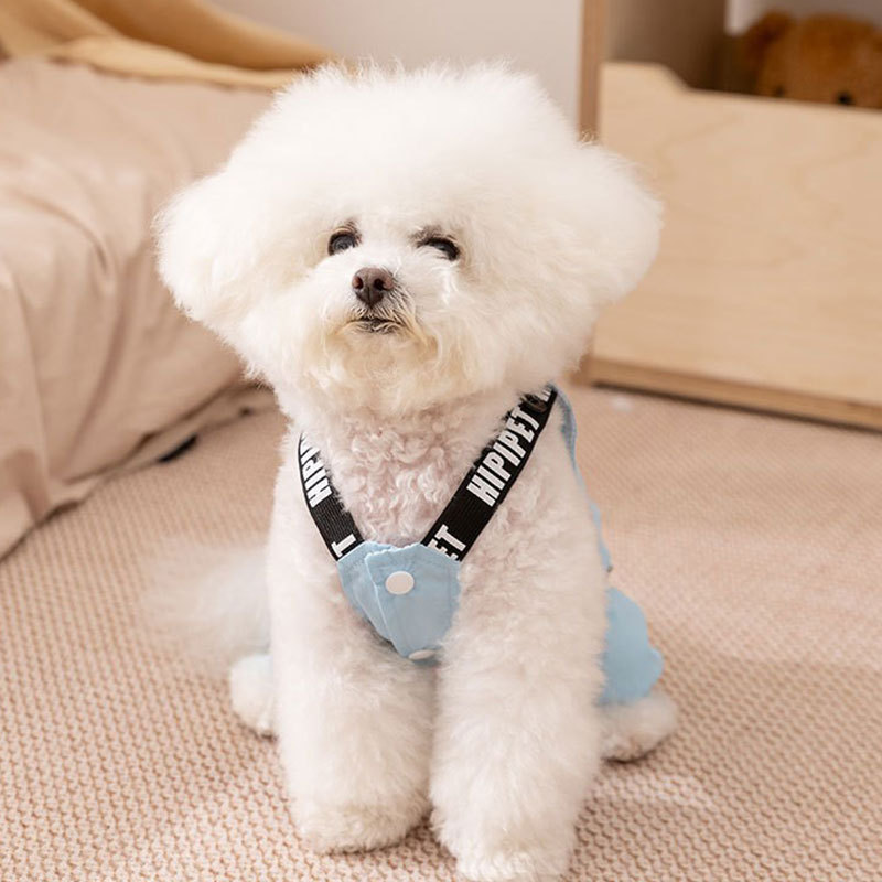 25年新作 犬用四足つなぎパンツ 防水防風 秋冬のお出かけ用 テディペット犬服|undefined