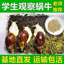 �������΁ţ���w�W���ƌW����^�����������^�p���nС΁ţ