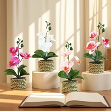 ����5������m����@ˇ�b�С�[������ٻ����Ա��Wins�L����Gֲ