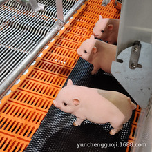 小仔猪橡胶保温垫耐磨猪舍pvc防滑垫母猪垫猪栏采精垫耐磨防滑