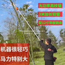 ���Ͷ๦�ܸ�֦���Ʒ���L������ľ��֦����ݸ���ݙC�߉�����