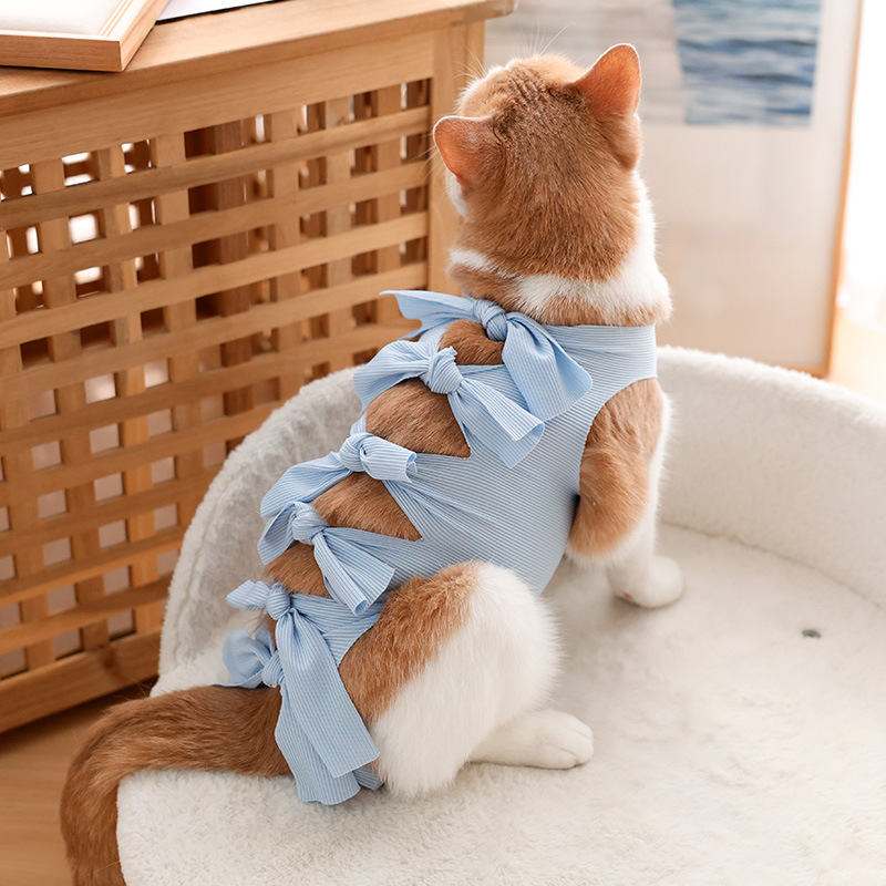 猫咪绝育服母猫手术服衣服透气戒奶服奶服公猫防舔术后宠物猫猫|undefined